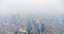 https://vietq.vn/cac-chuyen-gia-de-xuat-giai-phap-giam-o-nhiem-khong-khi-mua-nang-nong-d232531.html