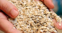 https://vietq.vn/hon-28-tan-yen-mach-cua-cong-ty-grain-millers-bi-thu-hoi-tai-my-do-nghi-ngo-lan-tap-chat-nhua-d232650.html