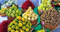 https://vietq.vn/bo-cong-thuong-canh-bao-1-doanh-nghiep-trai-cay-trung-quoc-dang-bi-dieu-tra-d232661.html