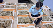 https://vietq.vn/my-pham-tu-che-va-thuc-pham-nha-lam-nguy-co-mat-kiem-soat-chat-luong-d233573.html