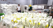 https://vietq.vn/phat-hien-co-so-nghi-san-xuat-phan-bon-gia-quy-mo-lon-tai-dong-nai-d233595.html