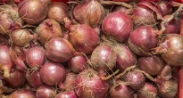 https://vietq.vn/rau-cu-salad-and-go-nhiem-khuan-listeria-co-the-gay-tu-vong-d235256.html