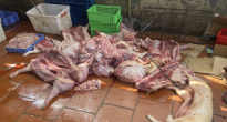 https://vietq.vn/nguoi-tieu-dung-can-canh-giac-lua-chon-thit-lon-dat-chuan-va-an-toan-d243508.html