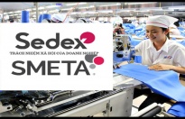 Từ tuân thủ đến cơ hội: Câu chuyện áp dụng Sedex-SMETA