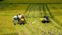 Một số giải pháp giảm phát thải khí nhà kính trong nông nghiệp