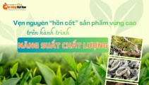 [Longform] Vẹn nguyên ‘hồn cốt’ sản phẩm vùng cao trên hành trình năng suất chất lượng