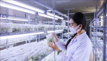 Tổ chức chuỗi hoạt động chào mừng Ngày Khoa học, Công nghệ và Đổi mới sáng tạo Việt Nam 2026 