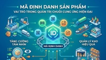 Mã định danh sản phẩm và vai trò trong quản trị chuỗi cung ứng hiện đại