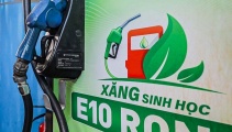 Kiểm soát chất lượng xăng E10: Từ hành lang kỹ thuật đến giám sát thị trường