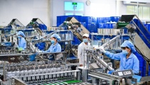 Công bố tiêu chuẩn áp dụng: Minh bạch thông tin, nâng cao trách nhiệm doanh nghiệp