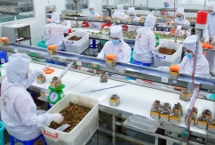 Chuyển đổi số trong doanh nghiệp: Không phải để 'khoe' mà là 'sống còn'