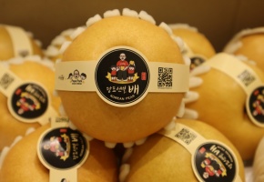Xử lý nhiều cửa hàng trái cây kinh doanh lê Hàn Quốc gian dối xuất xứ
