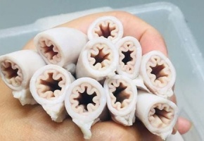 Lòng se điếu: Chuyên gia thì bảo hiếm và đắt, nhưng chợ mạng lại bán tràn lan, thực hư ra sao?