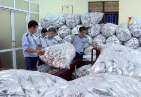 Ngăn chặn kịp thời 40.000 gói rong biển trôi nổi trước khi đến tay người tiêu dùng