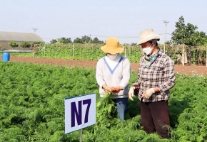 Từ VietGAP đến thị trường quốc tế: Hành trình nâng cao chất lượng của doanh nghiệp Việt