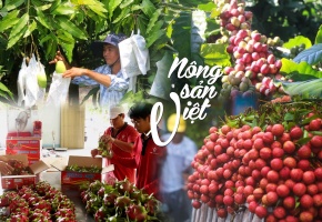 Số hóa chứng nhận: Lời giải cho bài toán cạnh tranh của nông sản Việt