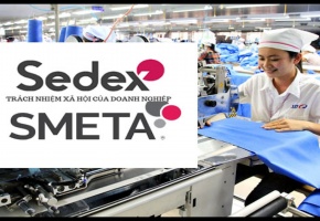 Từ tuân thủ đến cơ hội: Câu chuyện áp dụng Sedex-SMETA