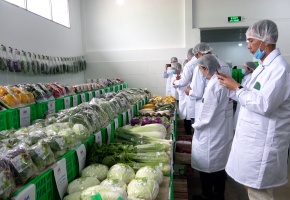 Mở cửa thị trường bằng 'hộ chiếu số'