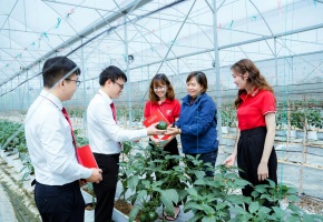 Hỗ trợ tối đa 80% chi phí cho doanh nghiệp nhỏ và vừa nâng cao năng suất, chất lượng sản phẩm