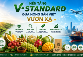 Nền tảng V-Standard đưa nông sản Việt vươn xa