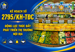 Kế hoạch số 2795/KH-TĐC: Động lực thúc đẩy phát triển thị trường nội địa
