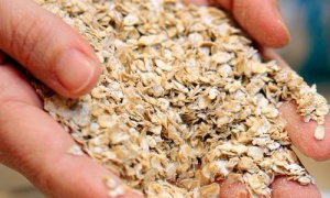 Hơn 28 tấn yến mạch của Công ty Grain Millers bị thu hồi tại Mỹ do nghi ngờ lẫn tạp chất nhựa