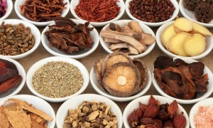 Siết quản lý dược liệu, kiểm soát chất lượng từ nguồn gốc đến thành phẩm