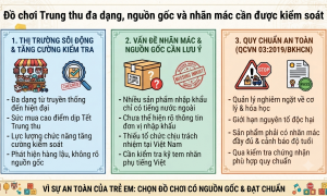 Đồ chơi trẻ em dịp Trung thu đa dạng, nguồn gốc và nhãn mác được kiểm soát chặt chẽ