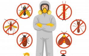 Xử lý nghiêm vi phạm trong sản xuất, kinh doanh, sử dụng chế phẩm diệt côn trùng, diệt khuẩn 
