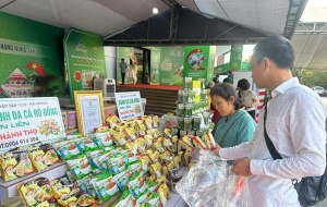 Thúc đẩy thương mại nông sản Việt – Trung hướng tới chuỗi cung ứng hiện đại và bền vững