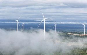 Khát vọng tạo giá trị bền vững từ năng lượng tái tạo của Bầu Hiển