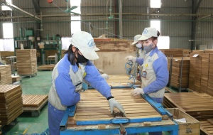 Tuyên Quang: Nâng cao năng suất chất lượng gắn với phát triển bền vững