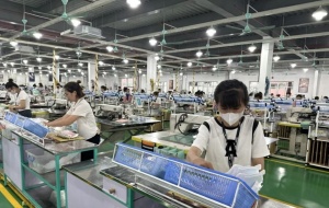 Lan tỏa phong trào lao động sáng tạo, nâng cao năng suất và chất lượng