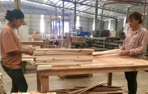Tăng năng suất, nâng vị thế: Hướng đi bền vững cho ngành gỗ Việt Nam