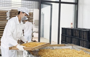 Từ tiêu chuẩn đến công nghệ: Doanh nghiệp địa phương nâng cao năng suất, chất lượng