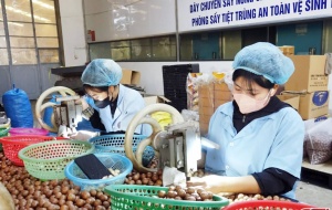 Từ sản lượng đến giá trị: Bước chuyển của nông nghiệp thời công nghệ