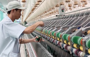 Chi phí leo thang, đơn hàng chao đảo: Doanh nghiệp buộc tăng tốc