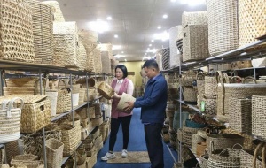 Phát triển sản phẩm OCOP: Không thể chỉ dừng ở số lượng mà phải nâng chất lượng