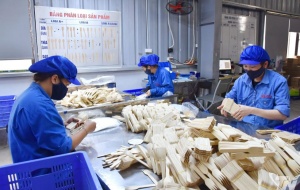 Tối ưu môi trường làm việc để nâng năng suất