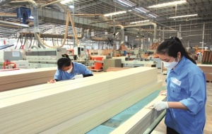 Năng suất trong ngành gỗ: Khi doanh nghiệp “số hóa từng tấm ván” để đi xa hơn thị trường xuất khẩu