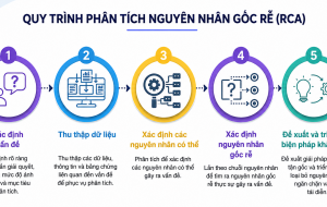 Giải quyết tận gốc vấn đề để thúc đẩy năng suất bền vững cho doanh nghiệp 