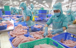 Singapore cảnh báo các doanh nghiệp xuất khẩu hàng hóa cần khai báo đúng