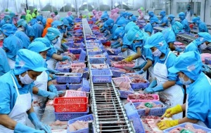 Thủy sản xuất khẩu: Chuẩn hóa chất lượng để giữ thị trường