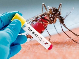 Công nghệ mới giúp chẩn đoán nhanh bệnh sốt xuất huyết
