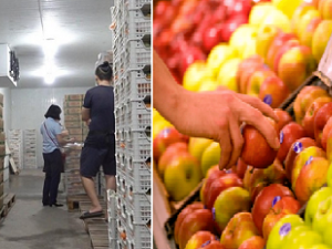 Cách lựa chọn trái cây nhập khẩu chuẩn an toàn, đảm bảo chất lượng