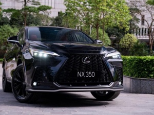 Hàng loạt ô tô Lexus bị triệu hồi tại Việt Nam do lỗi hệ thống phanh