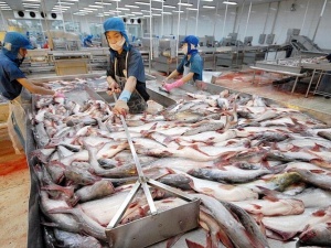 Liên minh châu Âu chấp nhận Hiệp định WTO về trợ cấp thủy sản
