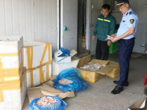 Quảng Ninh xử lý nhiều vụ kinh doanh, vận chuyển trái phép sản phẩm động vật