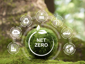 ISO tập trung xây dựng tiêu chuẩn quốc tế đầu tiên về Net Zero