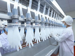 Ấn Độ điều tra chống bán phá giá đối với găng tay cao su y tế từ Việt Nam
